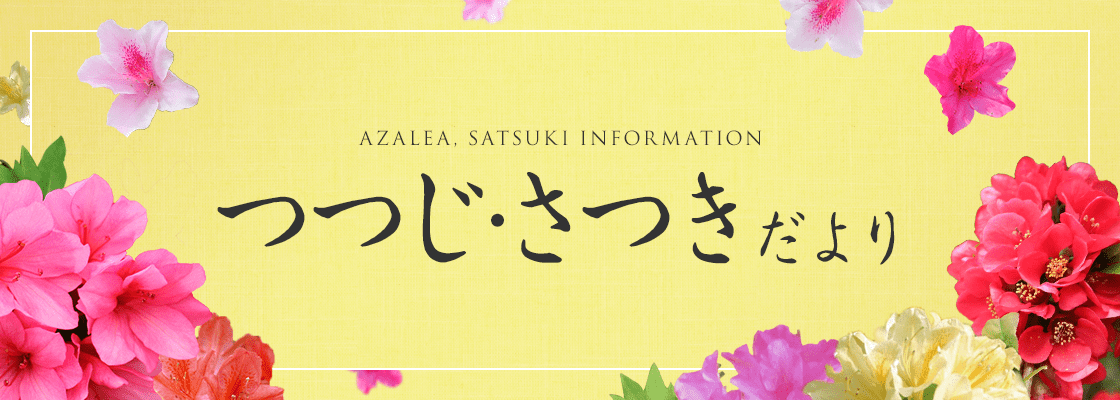 つつじ・さつきだより