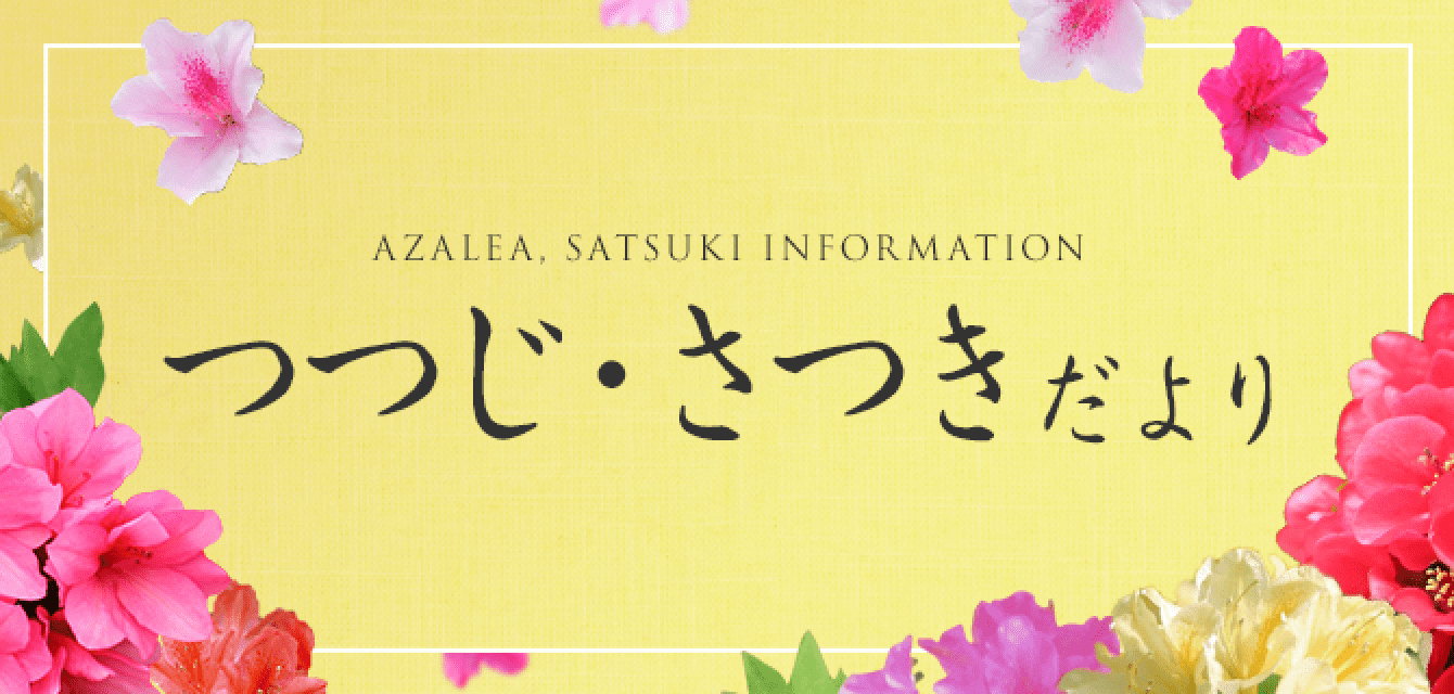 つつじ・さつきだより