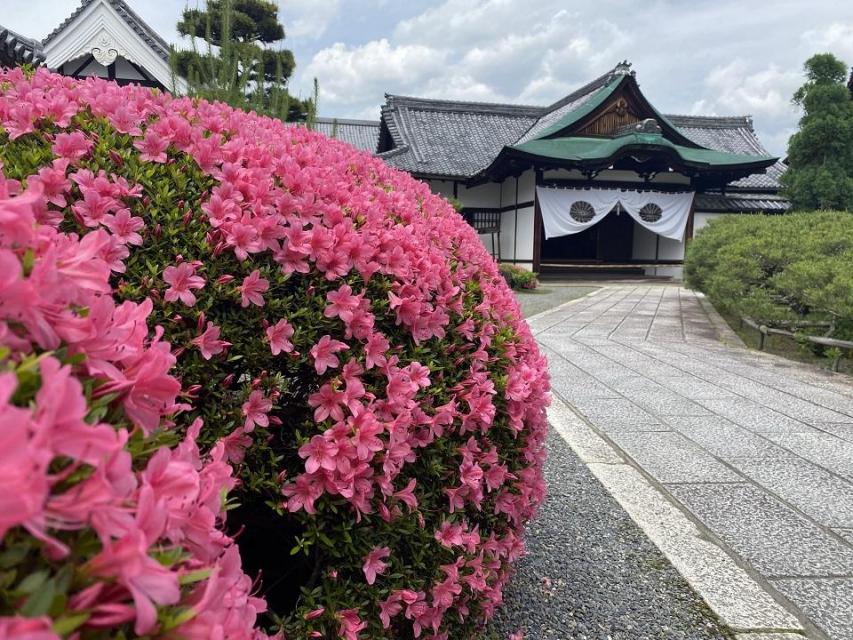 大覚寺