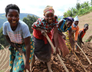 ルワンダ西部のルツィロで行われた国連WFPの強靭性プログラム。Photo: WFP/Emily Fredenberg