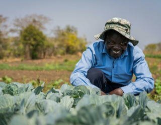 マラウイのDFID資金によるプロスパー活動でのカホブウェの灌漑計画。Photo: WFP/Badre Bahaji 