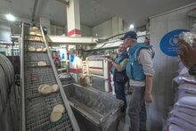 Photo: WFP/photo library. Carl Skau, WFP Deputy Executive Director and Chief Operating Officer, meeting the owner of the first bakery to operate on April 14 in Gaza City after four months of suspending operation. The owner walked DED through the production process, and the team briefed him on the impact on reoperating bakeries on the food security situation in the north.