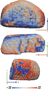 [Figure 14]