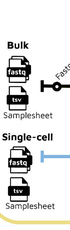 nf-core/airrflow: An adaptive immune receptor repertoire analysis workflow employing the Immcantation framework