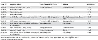 Table 3