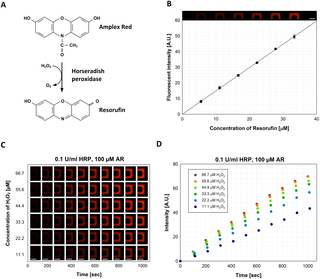 Fig 4