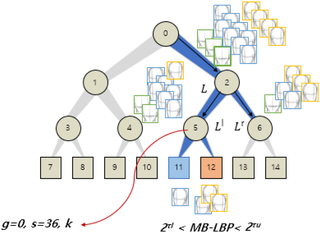 Fig 6