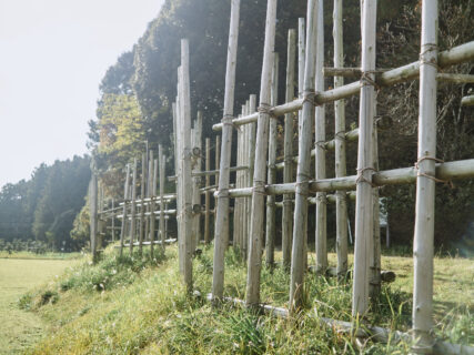 外は寒く、世界は広い。【旧市町村一周の旅（愛知県）｜12月06日―610日目）】