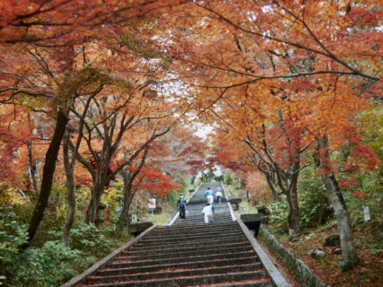 岡崎から三河湾を巡って、豊田まで行こう。【旧市町村一周の旅（愛知県）｜12月07日―611日目）】