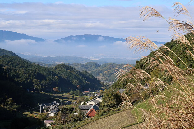 写真: 2024 11 17 遠くに葛城山と金剛山