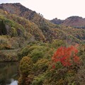 秋の綱木川ダム湖の上流