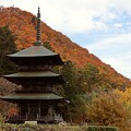 秋の安久津八幡神社