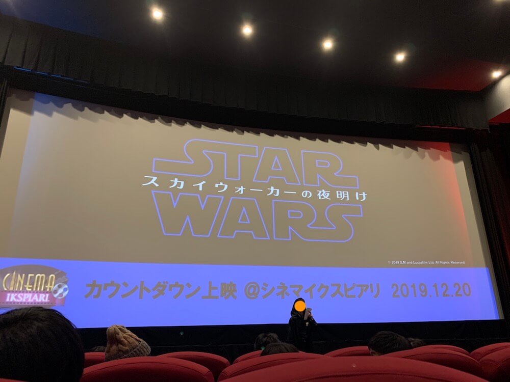 スターウォーズ　star wars　エピソード９　スカイウォーカーの夜明け　映画　レビュー　感想　ネタバレ　無し