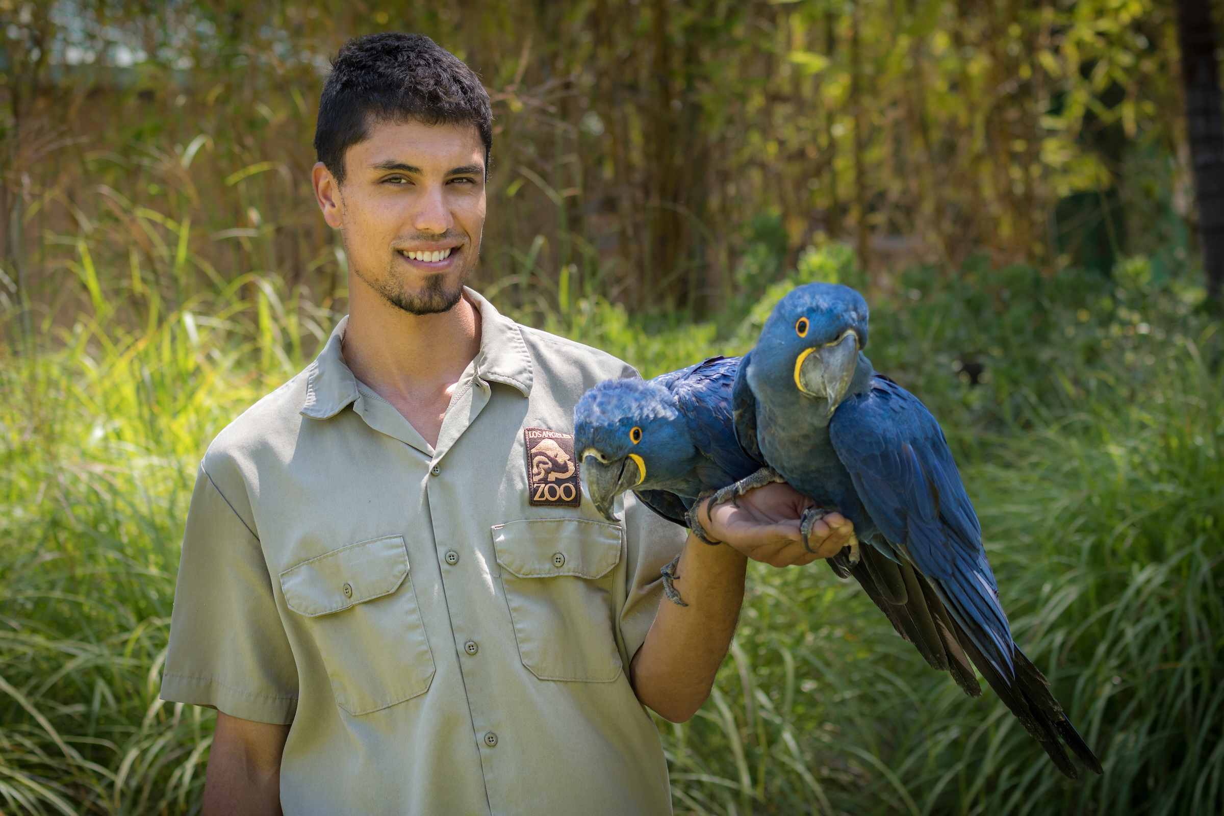 World of Birds Show