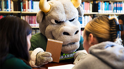 USF Undergrad students working together on a laptop.