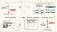 Nocebo expectations rather than placebo expectations affect topical pain relief: A randomized clinical trial. Graphical Abstract.