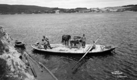 Ferge over Glomma ved Bingen i Sørum. Foto: Anders Beer Wilse/Nasjonalbiblioteket (1907).