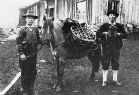 Dreng Torleivsson Mosdøl (1896-1970) og farbroren Hallvard Drengsson (1854-1921) med kløvhest på Hovden. Foto: Anders Beer Wilse/Setesdalsmuseet (1912).