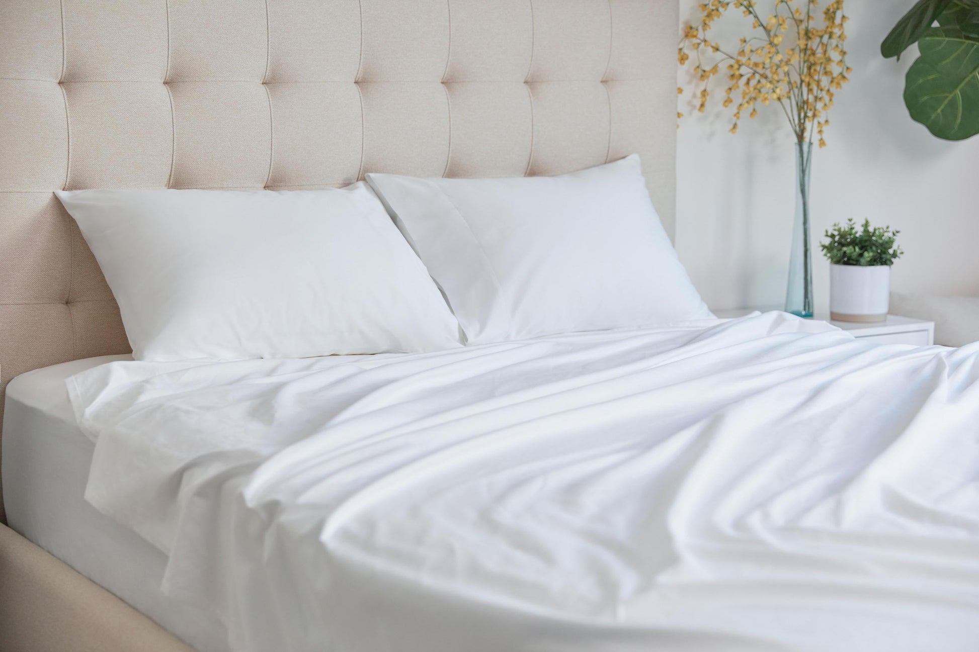 A picture of white bed sheets and pillows.