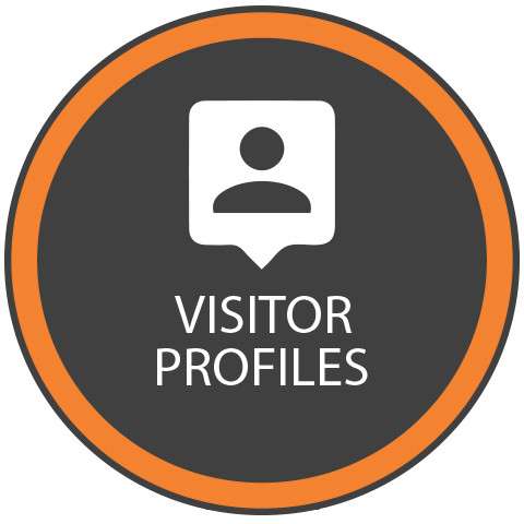 Visitor profile web analytics