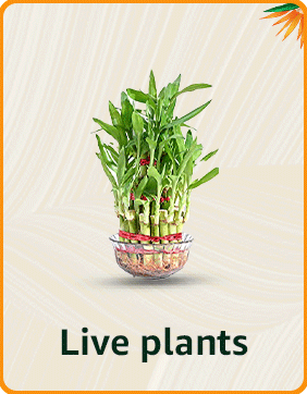 Live plants