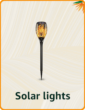 Solar lights