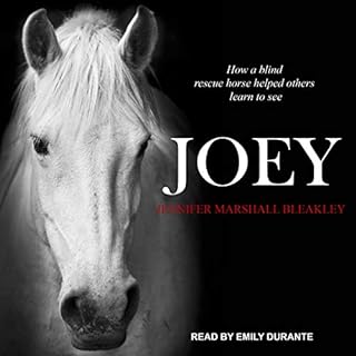 Joey Audiolibro Por Jennifer Marshall Bleakley arte de portada