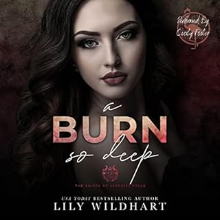 A Burn so Deep Audiolibro Por Lily Wildhart arte de portada