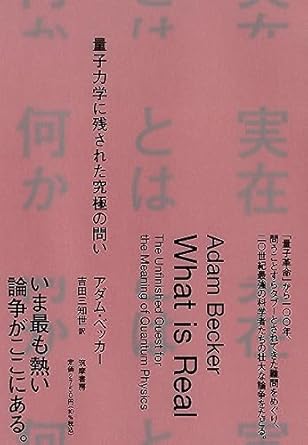 実在とは何か ――量子力学に残された究極の問い (単行本)