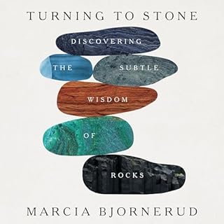 Turning to Stone cover art