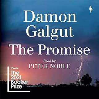 The Promise Audiolibro Por Damon Galgut arte de portada