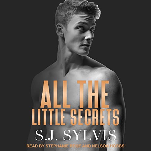 All the Little Secrets Audiolibro Por S.J. Sylvis arte de portada