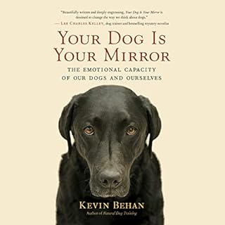 Your Dog Is Your Mirror Audiobook By Kevin Behan cover art