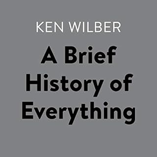 A Brief History of Everything Audiolibro Por Ken Wilber arte de portada