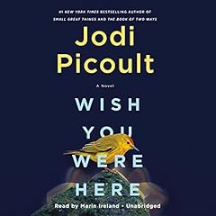 Wish You Were Here Audiolibro Por Jodi Picoult arte de portada