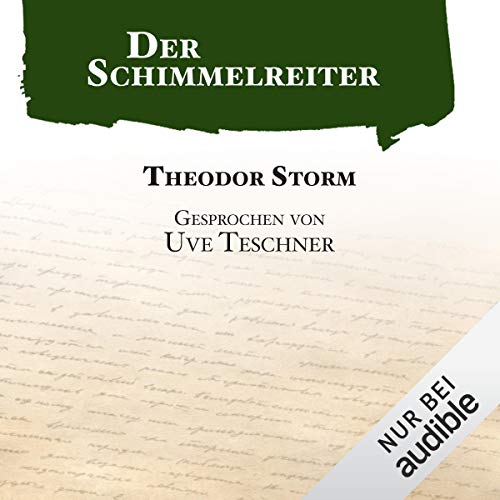 Der Schimmelreiter Audiolibro Por Theodor Storm arte de portada