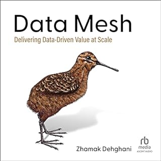 Data Mesh Audiobook By Zhamak Dehghani cover art