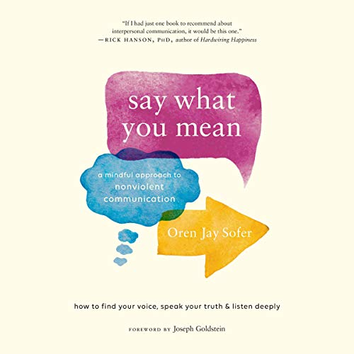 Couverture de Say What You Mean