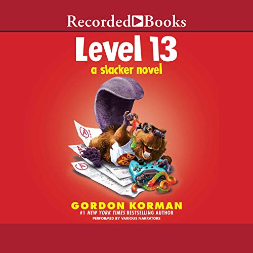 Level 13 cover art