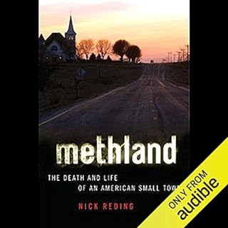 Methland Audiolibro Por Nick Reding arte de portada