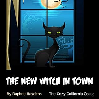 The New Witch in Town Audiobook By Daphne Haydens cover art