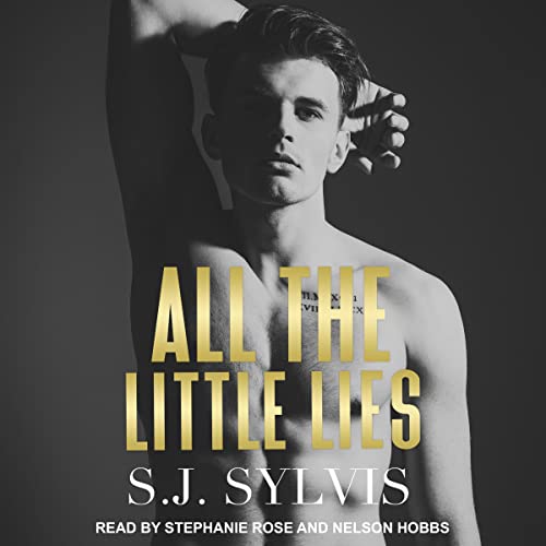 All the Little Lies Audiolibro Por S.J. Sylvis arte de portada