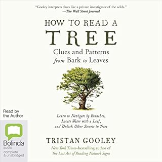 How to Read a Tree Audiolibro Por Tristan Gooley arte de portada