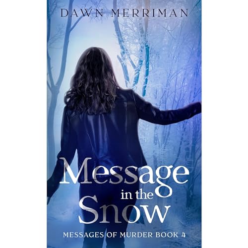 MESSAGE in the SNOW Audiolibro Por Dawn Merriman arte de portada