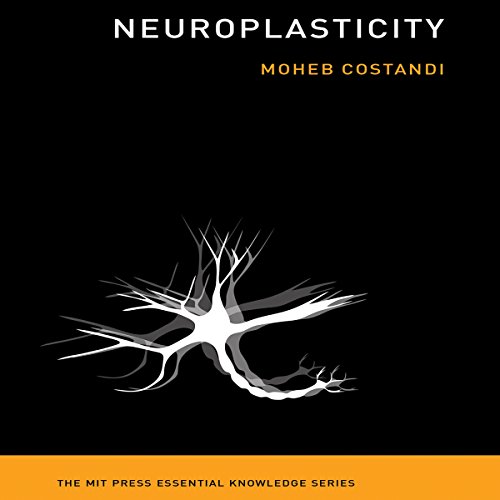 Neuroplasticity cover art