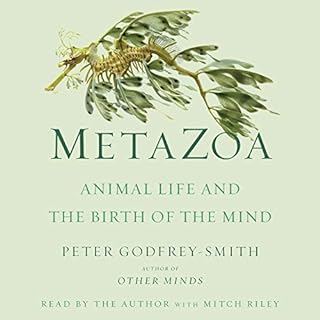 Metazoa Audiolibro Por Peter Godfrey-Smith arte de portada