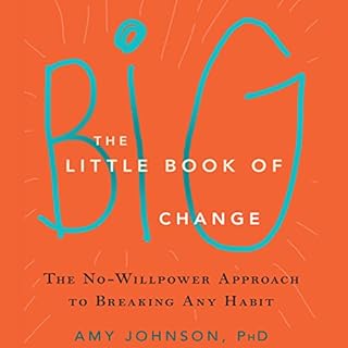 The Little Book of Big Change Audiolibro Por Amy Johnson PhD arte de portada