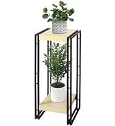 fusehome 27.5 inch Plant Stand Table, 2 Tier Plant Shelves Indoor Flower Pots Stand Holder Modern...