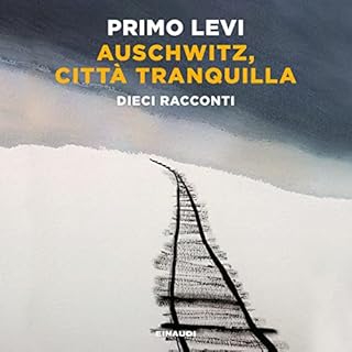 Auschwitz, citt&agrave; tranquilla copertina