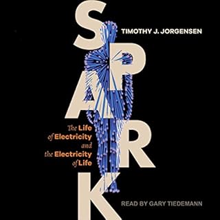 Spark Audiolibro Por Timothy J. Jorgensen arte de portada